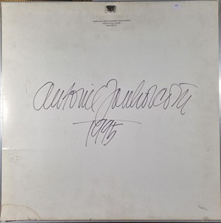 Jankovcová Antonie - Vypalovaná malba