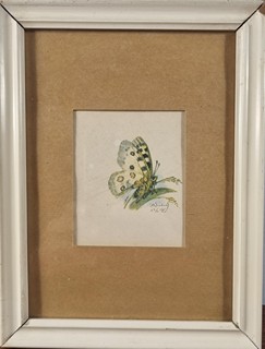 Švabinský Max - Jasoň alpský