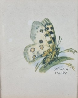 Švabinský Max - Jasoň alpský