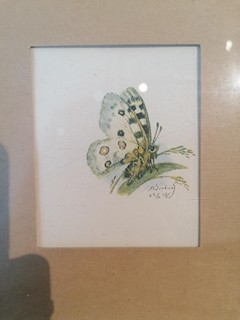 Švabinský Max - Jasoň alpský