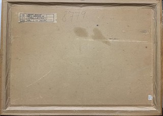 Velecký Jaromír - Domky v Bystrci