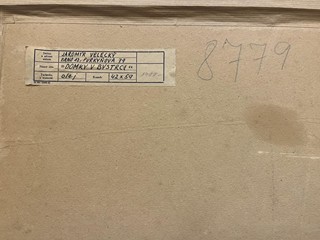 Velecký Jaromír - Domky v Bystrci