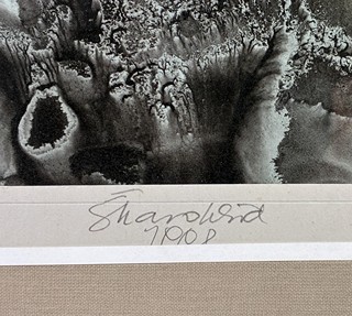 Škarohlíd Jaroslav - Krajiny pana Dalího