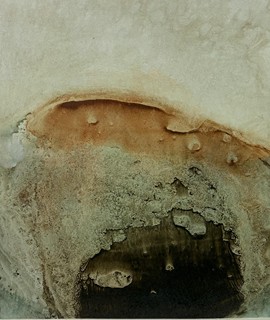 Škarohlíd Jaroslav - Krajiny pana Dalího II.