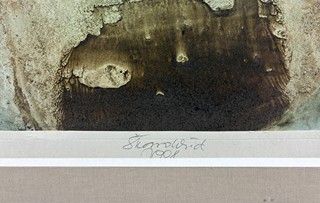 Škarohlíd Jaroslav - Krajiny pana Dalího II.