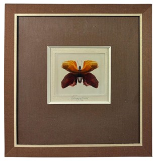 Škarohlíd Jaroslav - Motejl