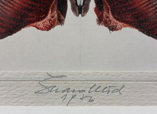 Škarohlíd Jaroslav - Motejl