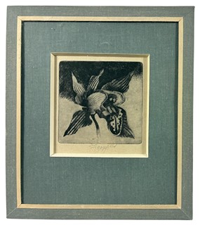 Škarohlíd Jaroslav - Orchidej