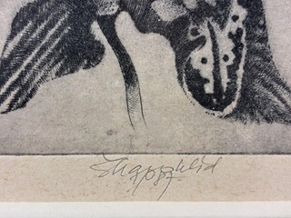 Škarohlíd Jaroslav - Orchidej