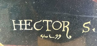 Skalník Pavel - Hector S.