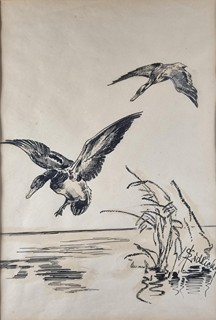 Židlický Jiří - Kachny v letu