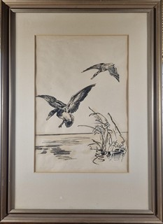 Židlický Jiří - Kachny v letu