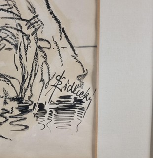 Židlický Jiří - Kachny v letu