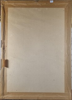 Židlický Jiří - Kachny v letu