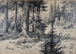 Židlický Jiří - V hlubokém lese