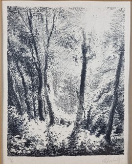 Švabinský Max - Divočina