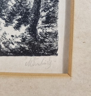 Švabinský Max - Divočina