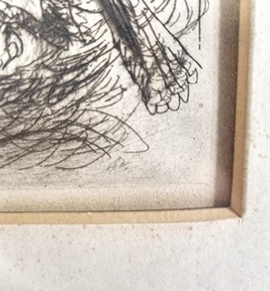 Procházka Antonín - Ptačí rodinka