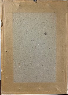 Gross František - Robovoják