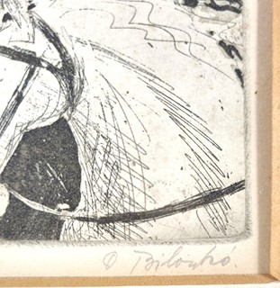 Bilovská Dobroslava - Vzpínající se hřebci