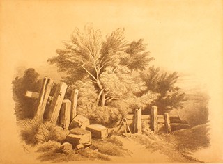 Antonín Mánes (1784 - 1843) - Venkovská krajina