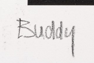 Buddy - No, a sme v prdeli!