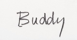 Buddy - Tak a dost