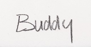 Buddy - Vítezství je naše