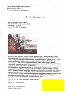 Bedřich Havránek (1821 - 1899) - Staré stavení I K dílu přiložen odborný posudek od PhDr. Naděždy Blažíčkové - Horové a PhDr. Šárky Leubnerové.