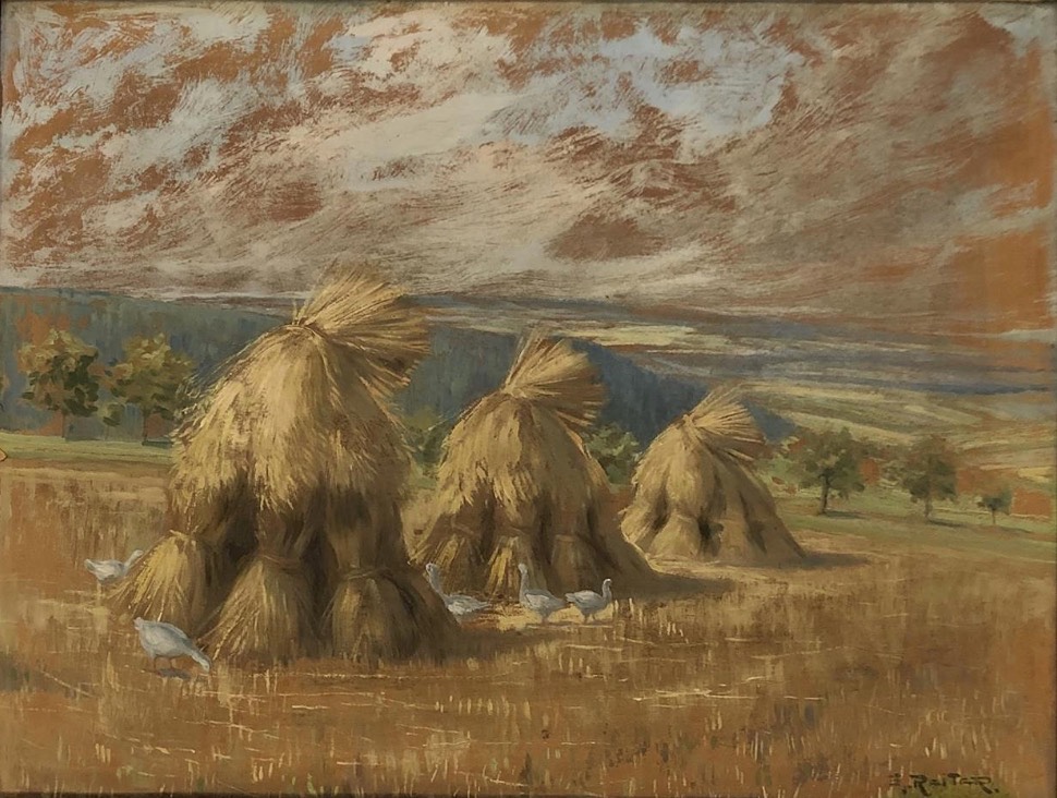Senoseč