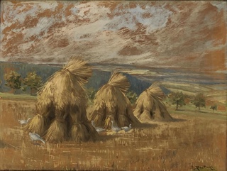 Senoseč