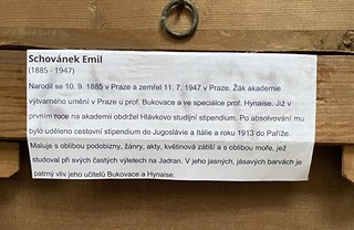 Zátiší s heřmánkem a pomeranči