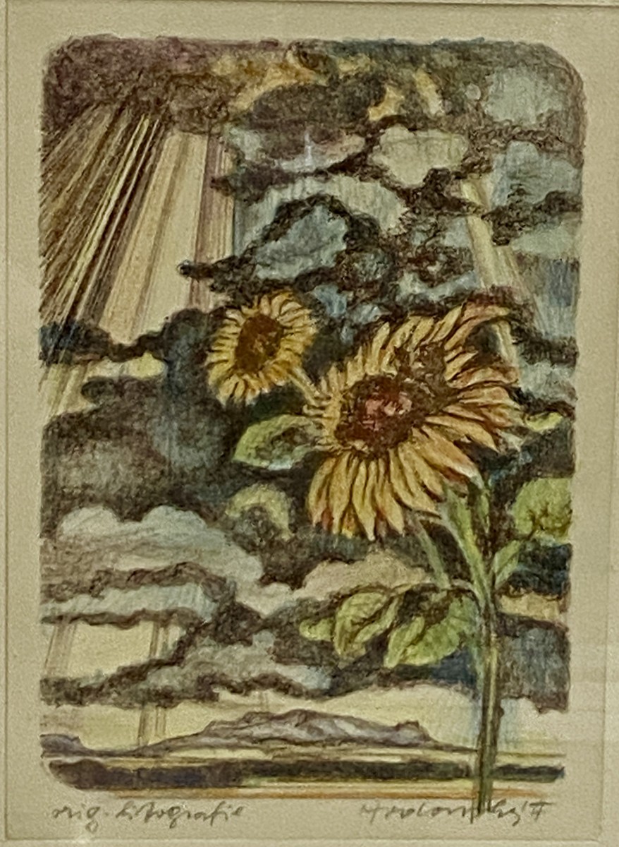 Sunflowers