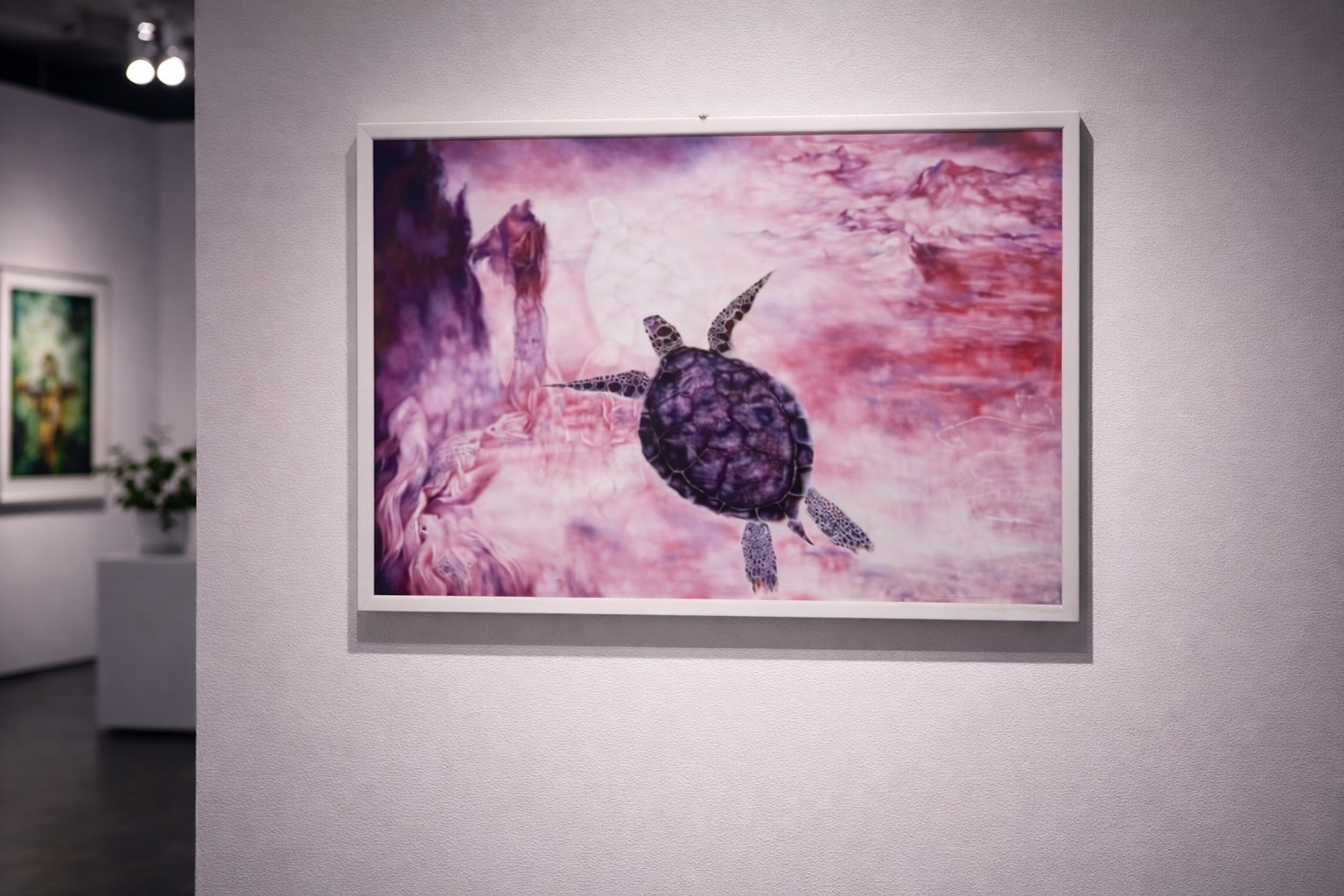 Path of Silence – Turtle in a Dream Space