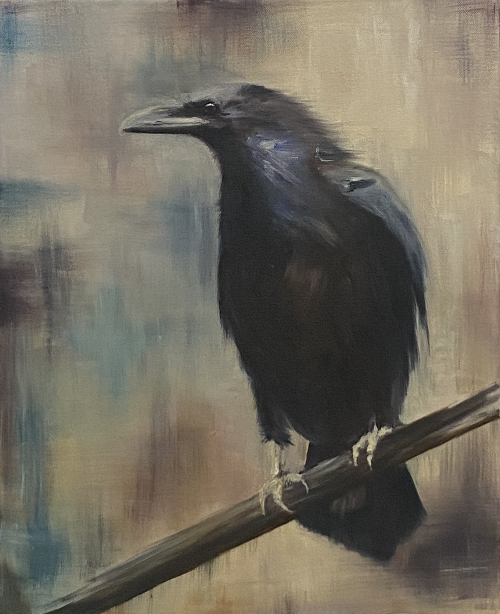 Raven
