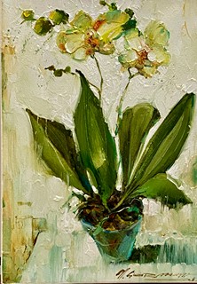 Orchids