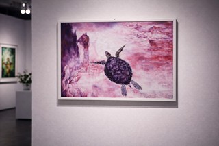 Path of Silence – Turtle in a Dream Space