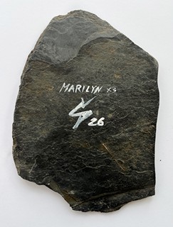 Štenclová Ivana - Marilyn XS