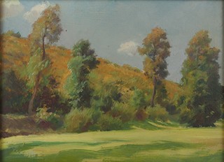 František Antonín Jelínek (1890 – 1977) - Letní krajina