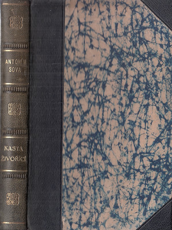 Antonín Sova - Kasta živořící a jiné prosy