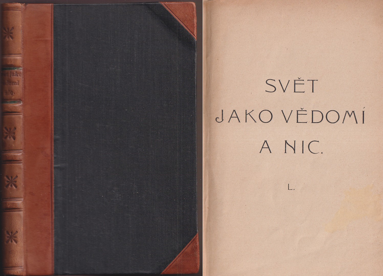 Ladislav Klíma - Svět jako vědomí a nic