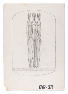 Jiří Harcuba (1928 - 2013) - OVR - 371 "3 gracie"