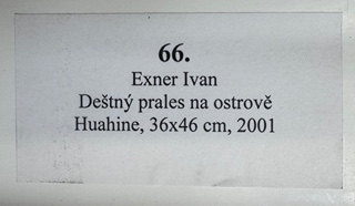 Deštný prales na ostrově Huahine