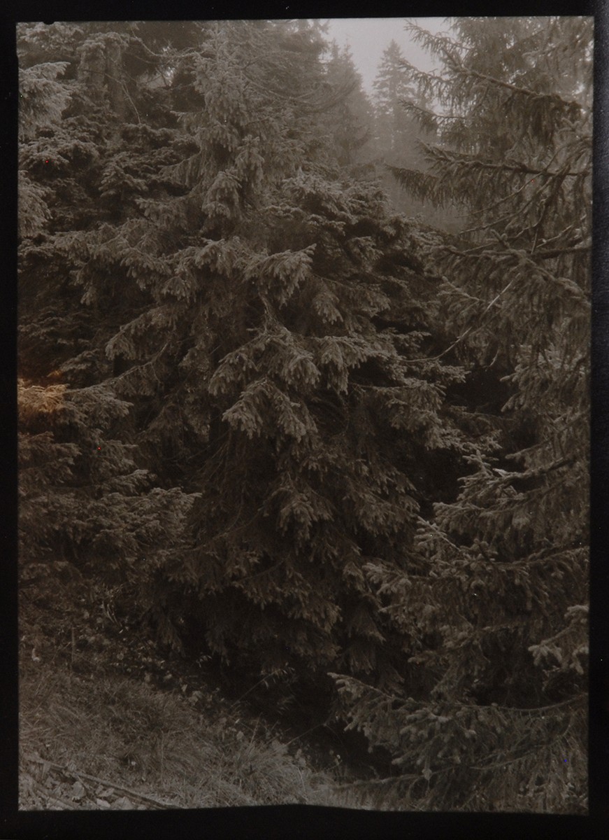 Petr Helbich (1929) - Prales Mionší