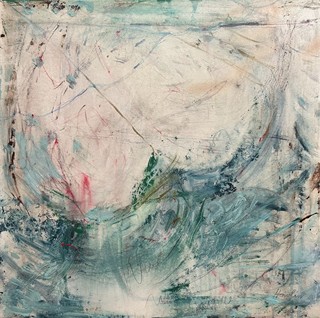 Zbyněk Havlín (1976) -  Pole