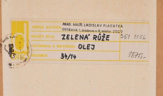 Zelená růže