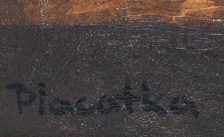 Zátiší se sovou