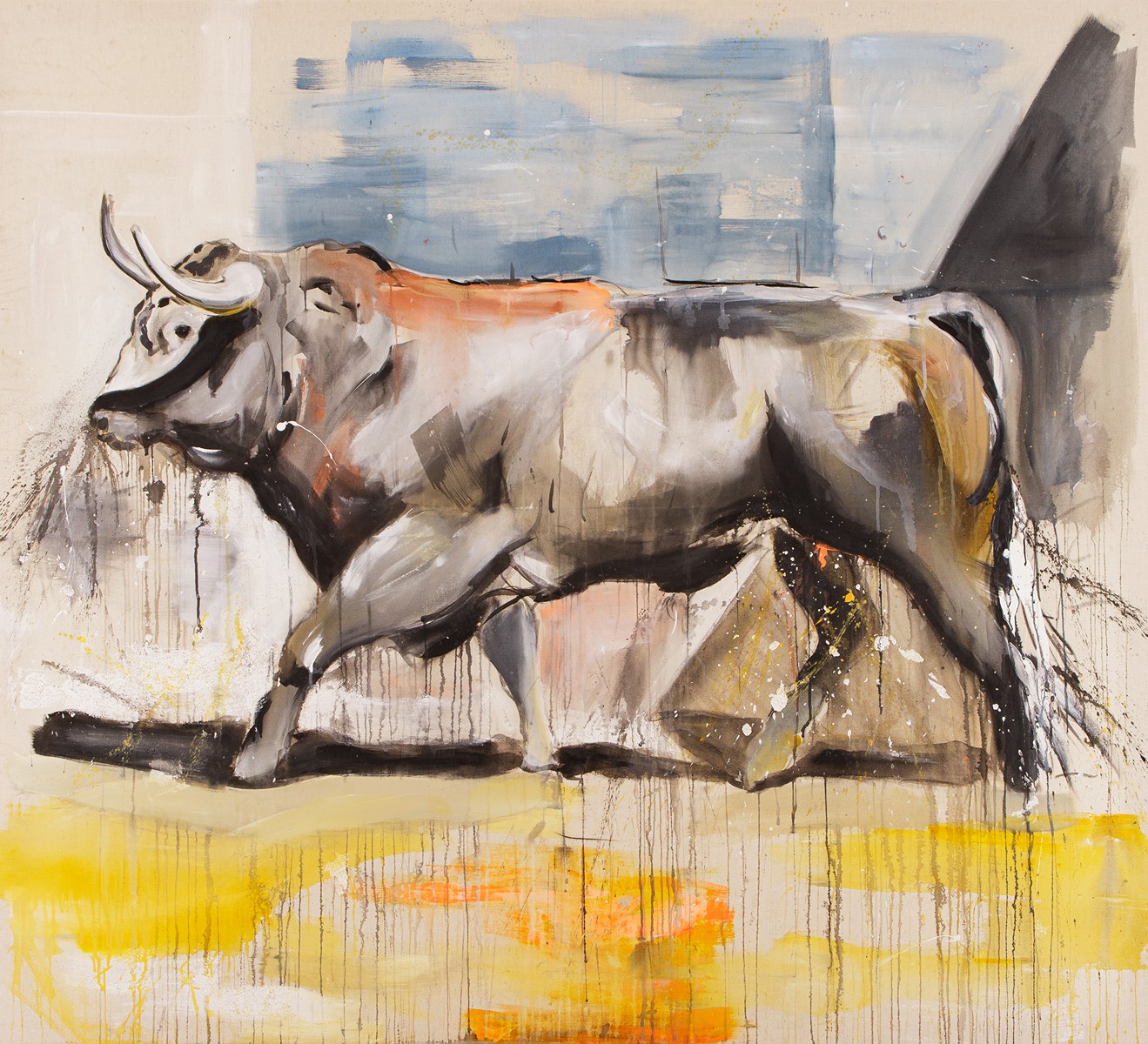 Krajc Martin (1984 - ) - Toro negro