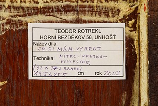 Rotrekl Teodor (1923 - 2004) - Co si mám vybrat