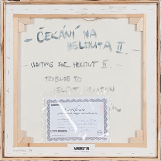 Richard Augustin (1975) - Pocta Helmutu Newtonovi